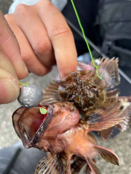 ショアジギ不発からの穴釣り