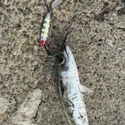 悩ましいところ…