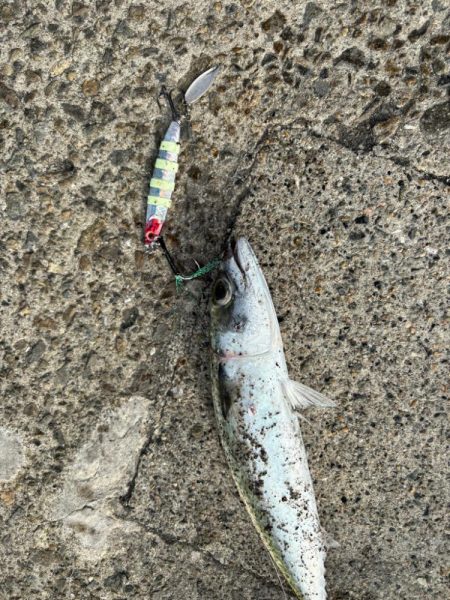 悩ましいところ…