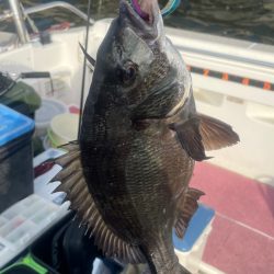 3ヶ月ぶりの釣行(インショア)