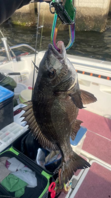 3ヶ月ぶりの釣行(インショア)
