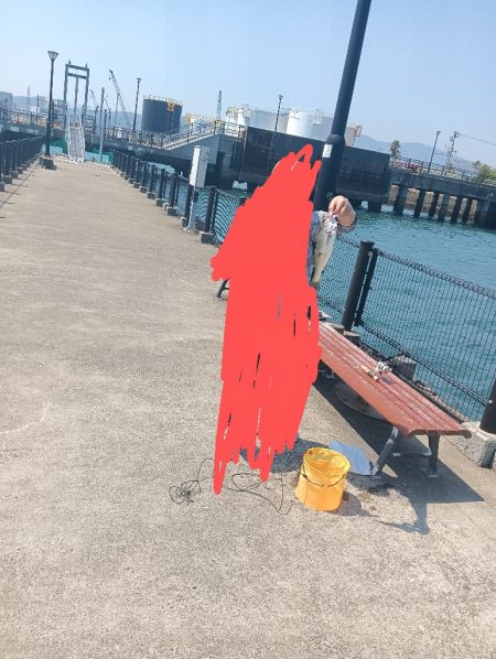 シーバス祭り？