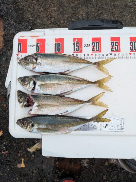 淡路島メガフロート