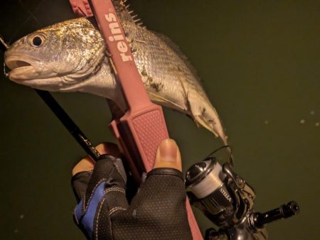 福田漁港ナイトライトゲーム