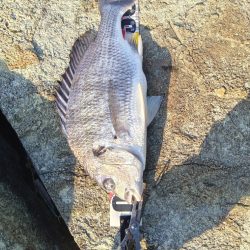 大塩海岸の投げ釣り