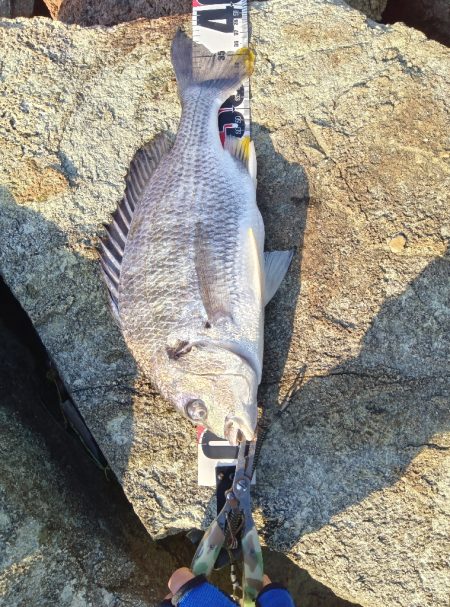 大塩海岸の投げ釣り