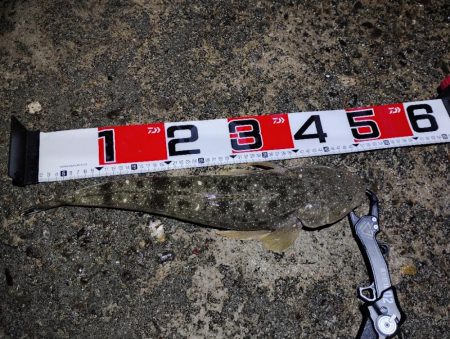 マゴチに助けられた。