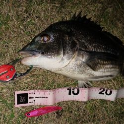 カラーローテーション