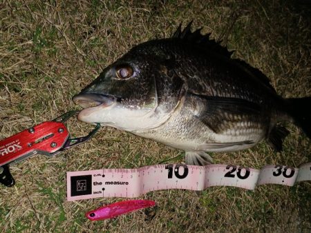 カラーローテーション