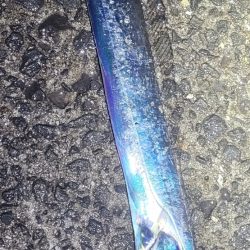 春タチウオにチャレンジ