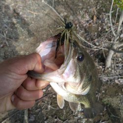 パワーフィネスとサカマタで3本