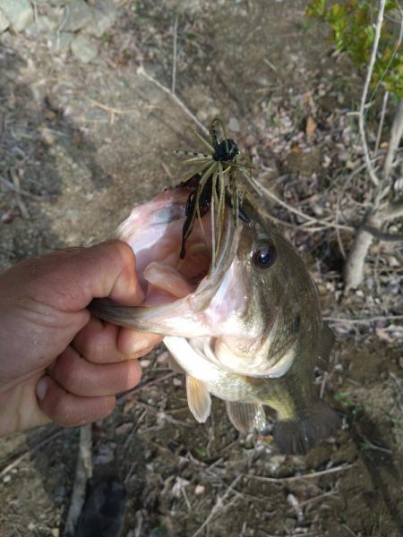 パワーフィネスとサカマタで3本