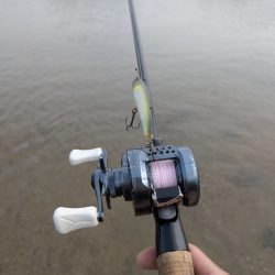 超短時間広島チニング