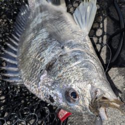 4月ファーストフィッシュ！