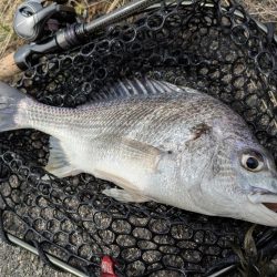 春爆チニングin呉