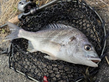 春爆チニングin呉