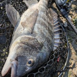 広島チニング春爆!