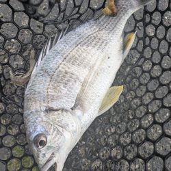 雨中ドSチニング！