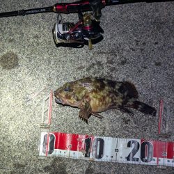 寒すぎた:;((•﹏•๑)));: