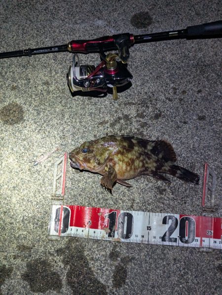 寒すぎた:;((•﹏•๑)));: