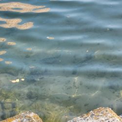 スキマチニング