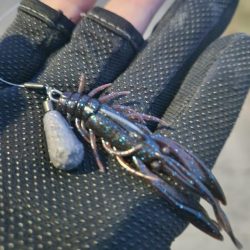 しごおわチニング