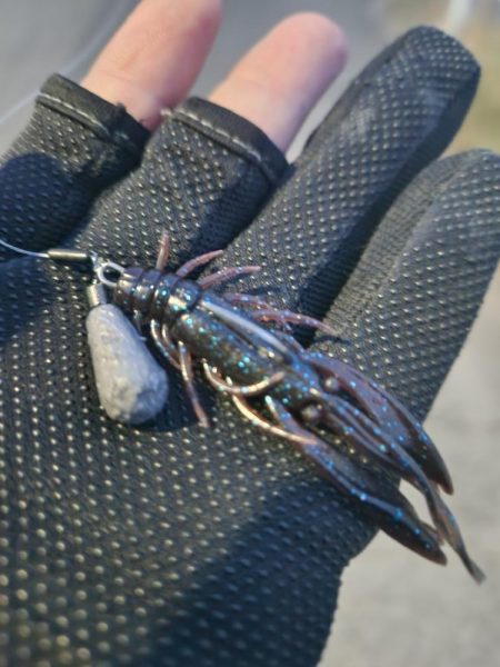 しごおわチニング