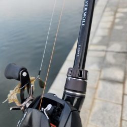 しごおわチニング