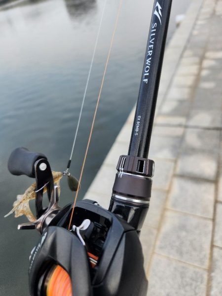 しごおわチニング