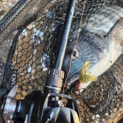 春爆チニング！