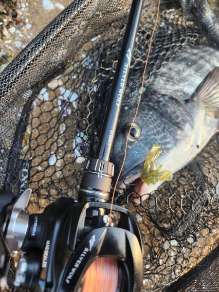 春爆チニング！