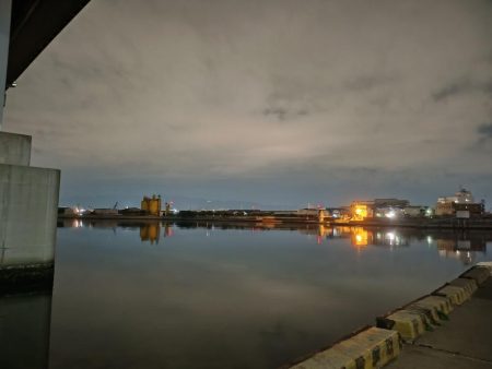 ノッコミ開始？