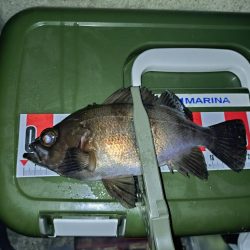 連敗脱出メバリング