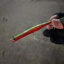 やっと釣れた🐟