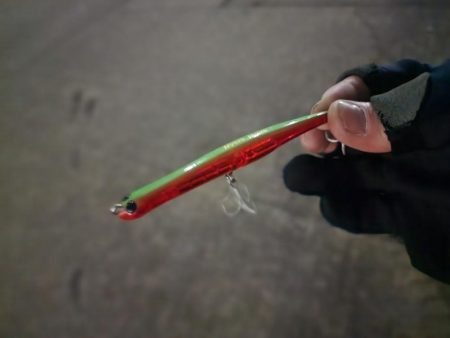 やっと釣れた🐟