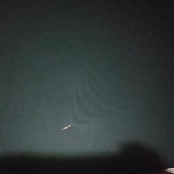 シーズン到来！？