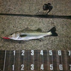 バイトミス多め💦