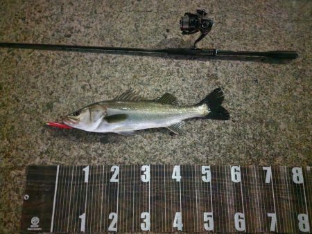 バイトミス多め💦