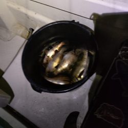 暴風メバルサビキ