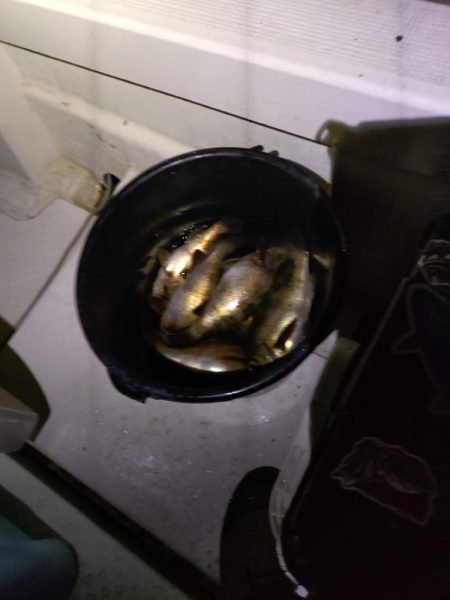 暴風メバルサビキ