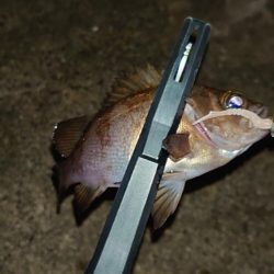 ちょっとでも、潮通しの良いところへ