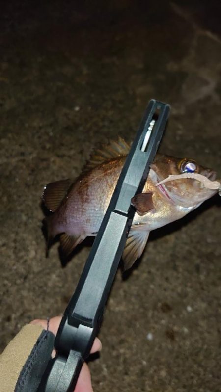 ちょっとでも、潮通しの良いところへ