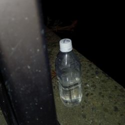 春のうなぎ釣り開幕！