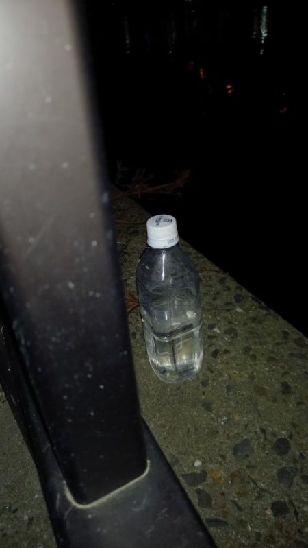 春のうなぎ釣り開幕！