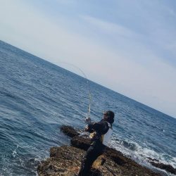 和歌山市江(吉丸渡船)で磯釣り