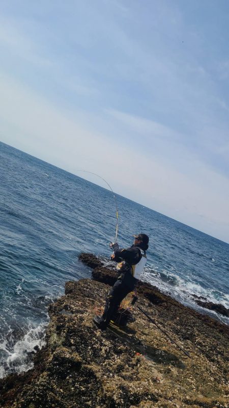 和歌山市江(吉丸渡船)で磯釣り