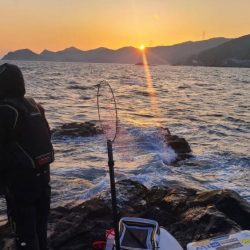 和歌山大引の磯でフカセ釣り