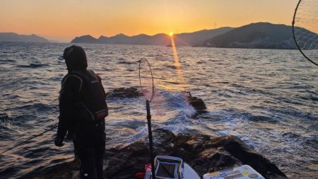 和歌山大引の磯でフカセ釣り