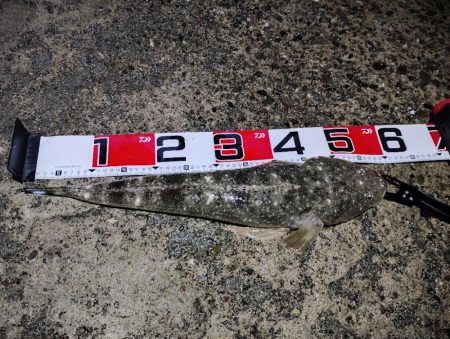 マゴチ自己新記録