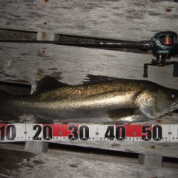 新しいリールで